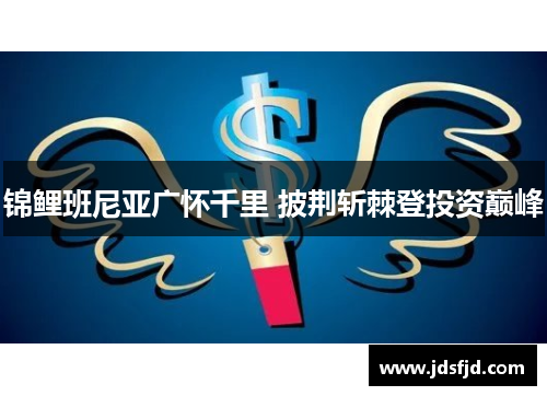 锦鲤班尼亚广怀千里 披荆斩棘登投资巅峰